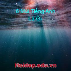 6 múi tiếng anh là gì
