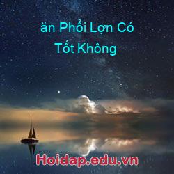 ăn phổi lợn có tốt không