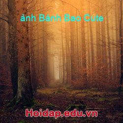 ảnh bánh bao cute