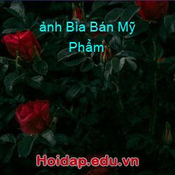 ảnh bìa bán mỹ phẩm
