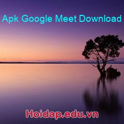 Apk google meet download