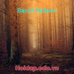 Baco3 na2so4