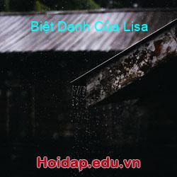 Biệt danh của lisa