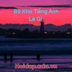 Bò kho tiếng anh là gì
