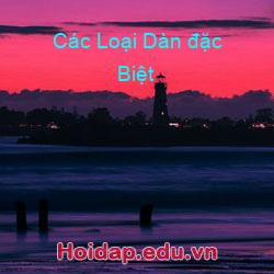 Các loại dàn đặc biệt