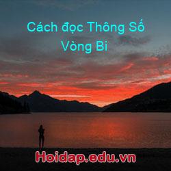 Cách đọc thông số vòng bi