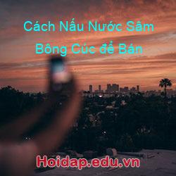 Cách nấu nước sâm bông cúc để bán