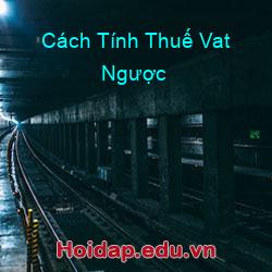 Cách tính thuế vat ngược