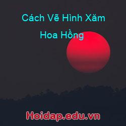 Cách vẽ hình xăm hoa hồng