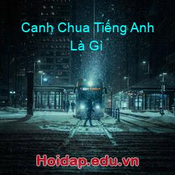 Canh chua tiếng anh là gì