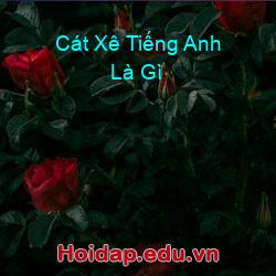 Cát xê tiếng anh là gì