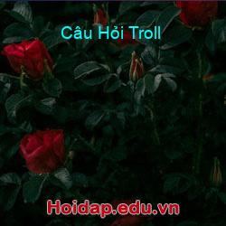 Câu hỏi troll