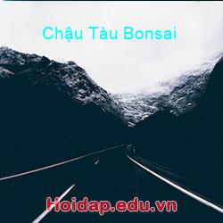 Chậu tàu bonsai