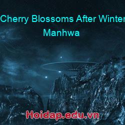 Cherry blossoms after winter manhwa