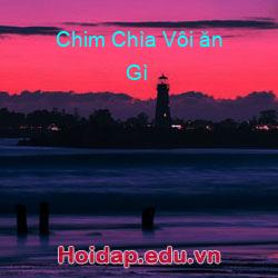 Chim chìa vôi ăn gì