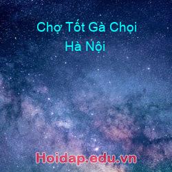 Chợ tốt gà chọi hà nội