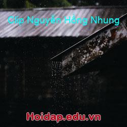 Clip nguyễn hồng nhung