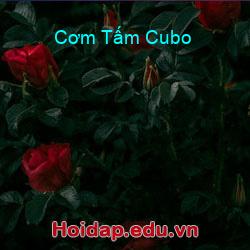 Cơm tấm cubo