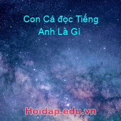 Con cá đọc tiếng anh là gì