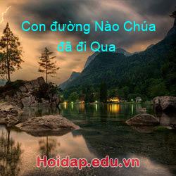 Con đường nào chúa đã đi qua