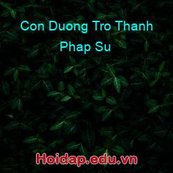 Con duong tro thanh phap su