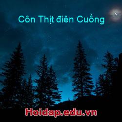 Côn thịt điên cuồng