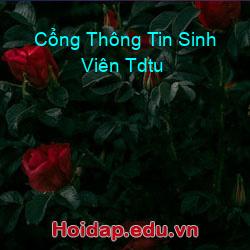 Cổng thông tin sinh viên tdtu