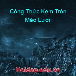 Công thức kem trộn mèo lười