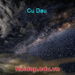 Cu dau