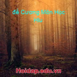 đề cương môn học hlu