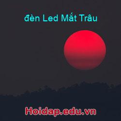 đèn led mắt trâu