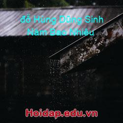 đỗ hùng dũng sinh năm bao nhiêu