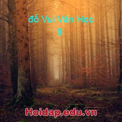 đố vui văn học 9