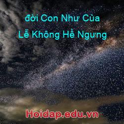 đời con như của lễ không hề ngưng