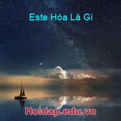 Este hóa là gì