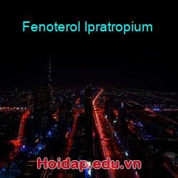 Fenoterol ipratropium