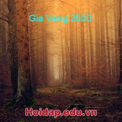 Gia vang 2000