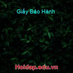 Giấy bảo hành