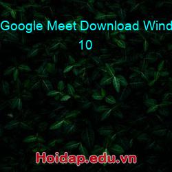 Google meet download windows 10