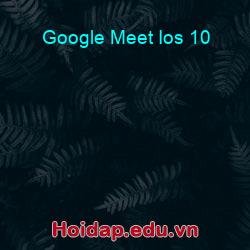 Google meet ios 10