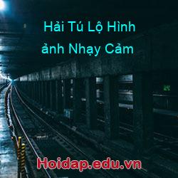 Hải tú lộ hình ảnh nhạy cảm