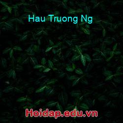 Hau truong ng