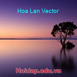 Hoa lan vector