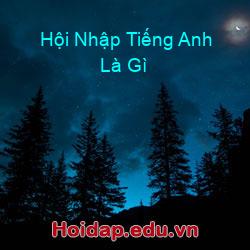 Hội nhập tiếng anh là gì