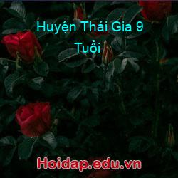 Huyện thái gia 9 tuổi