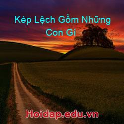 Kép lệch gồm những con gì