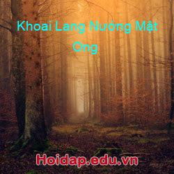 Khoai lang nướng mật ong