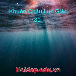 Khuôn chậu lục giác 80