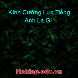 Kính cường lực tiếng anh là gì