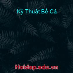 Kỹ thuật bể cá